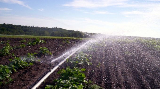 aqua flow irrigation