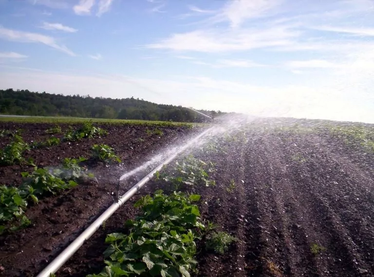 Irrigation System